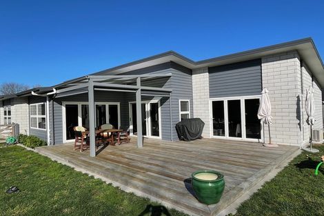 Photo of property in 49 Ritchie Street, Te Aroha, 3320
