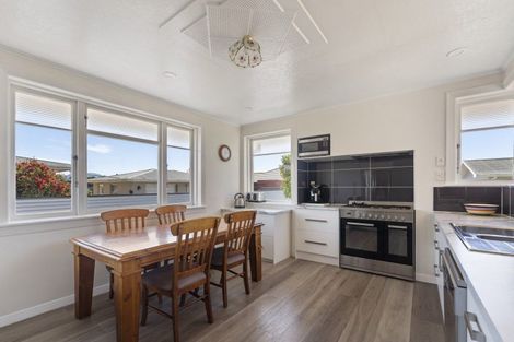 Photo of property in 19 Goodman Street, Blenheim, 7201