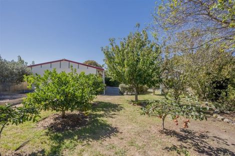 Photo of property in 129 Union Street, North Dunedin, Dunedin, 9016