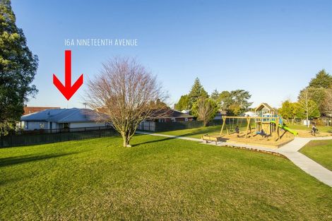 Photo of property in 16a Nineteenth Avenue, Tauranga South, Tauranga, 3112