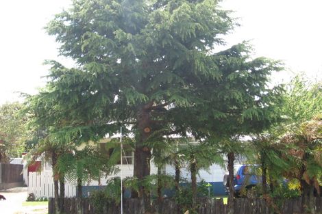 Photo of property in 49 Kingsley Drive, Ngongotaha, Rotorua, 3010