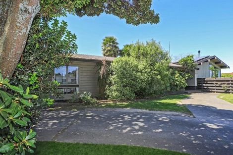 Photo of property in 100 Flaxmere Avenue, Flaxmere, Hastings, 4120