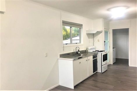 Photo of property in 55 James Henry Crescent, Huntly, 3700