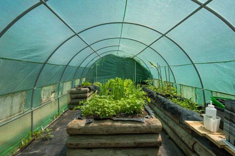 Photo of property in 15 Page Street, Redwoodtown, Blenheim, 7201