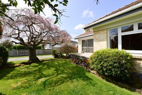 Photo of property in 36 Oxford Street, Fairfield, Hamilton, 3214