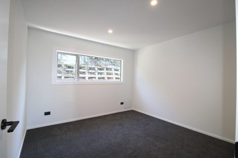 Photo of property in 1/39 Lees Street, Dunedin Central, Dunedin, 9016