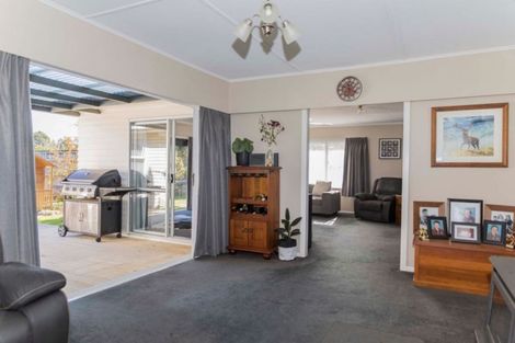 Photo of property in 17 Smith Street, Dannevirke, 4930