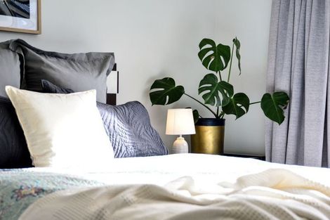 Photo of property in 24 Palm Grove Drive, Western Heights, Hamilton, 3200