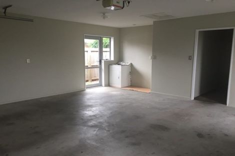 Photo of property in 17 Blowers Place, Halswell, Christchurch, 8025