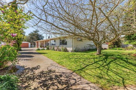 Photo of property in 208 Lindsay Road, Levin, 5510