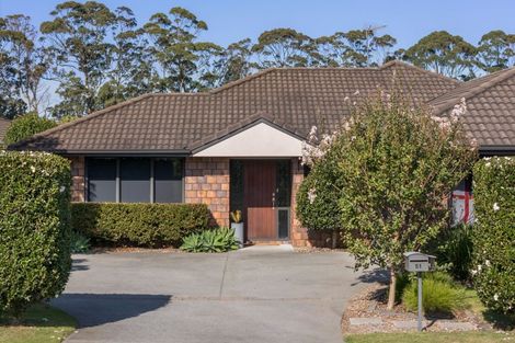 Photo of property in 51 Wills Road, Katikati, 3129