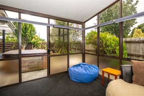 Photo of property in 6 Clyde Street, Renwick, 7204
