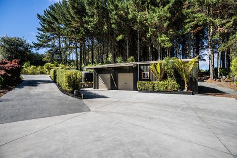 Photo of property in 1543d Waingaro Road, Glen Massey, Ngaruawahia, 3793