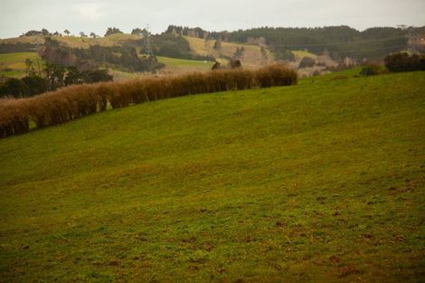 Photo of property in 129 Ara-kotinga, Whitford, Manurewa, 2576