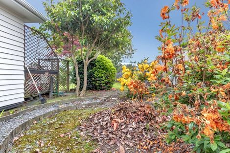 Photo of property in 58 Morvern Crescent, Tokoroa, 3420