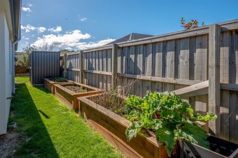 Photo of property in 24 Chesterfield Place, Rangiora, 7400