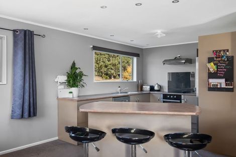 Photo of property in 25 Smith Street, Roxburgh, 9500