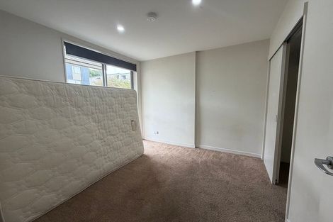 Photo of property in The Altair, 21/120 Rintoul Street, Newtown, Wellington, 6021