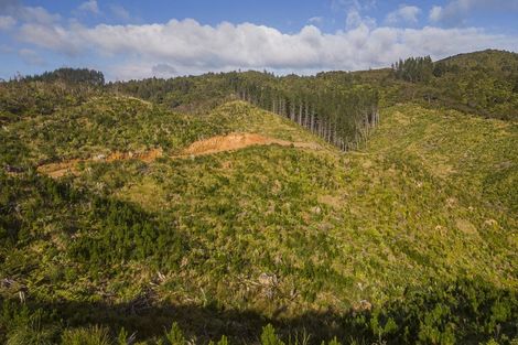 Photo of property in 1870 The 309 Road, Kaimarama, Whitianga, 3591