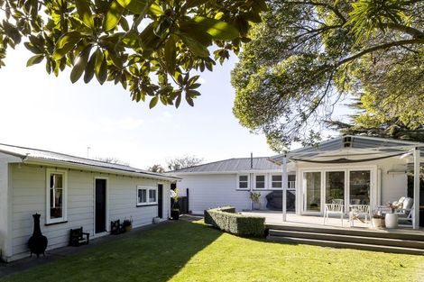 Photo of property in 151 Limbrick Street, Terrace End, Palmerston North, 4410