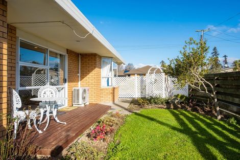 Photo of property in 24 Dillon Street, Blenheim, 7201