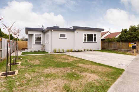 Photo of property in 99 Fitzroy Street, Terrace End, Palmerston North, 4410