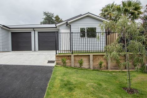 Photo of property in 16a Rothwell Street, Dinsdale, Hamilton, 3204