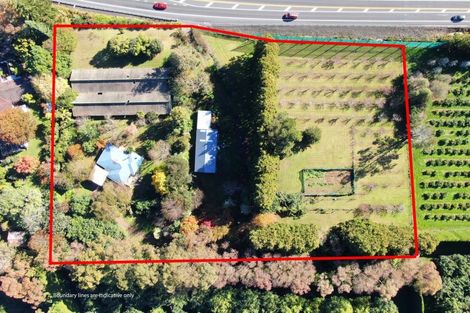 Photo of property in 664 State Highway 2, Tahawai, Katikati, 3170