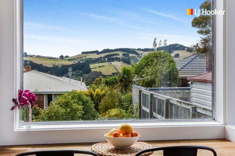 Photo of property in 43 Duckworth Street, Andersons Bay, Dunedin, 9013