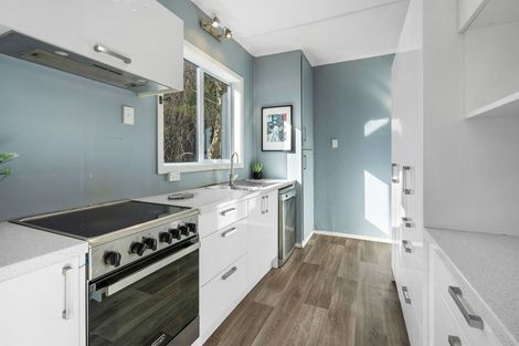 Photo of property in 102 Somerville Street, Andersons Bay, Dunedin, 9013