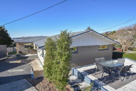 Photo of property in 56 College Street, Caversham, Dunedin, 9012