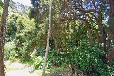 Photo of property in 9 Cotterell Street, Leigh, 0985