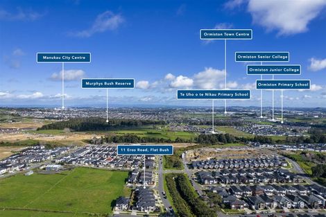Photo of property in 11 Eros Road, Flat Bush, Auckland, 2019