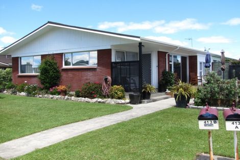 Photo of property in 413b Ensor Street, Thames, 3500