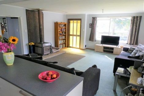 Photo of property in 16 Mawhera Street, Dobson, Greymouth, 7805