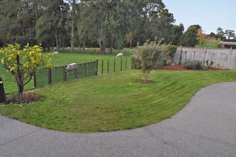 Photo of property in 39 Ashmore Crescent, Warkworth, 0910