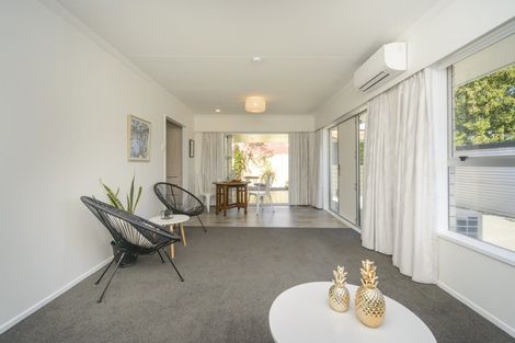 Photo of property in 176b Ruahine Street, Roslyn, Palmerston North, 4414