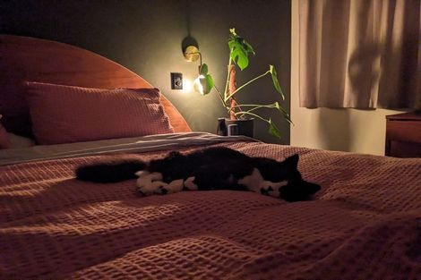 Photo of property in 14 Hillary Street, Tawa, Wellington, 5028