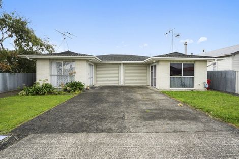 Photo of property in 46 Durham Street, Levin, 5510