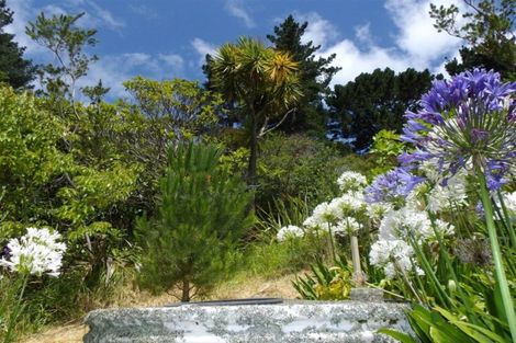 Photo of property in 28 Tapu Coroglen Road, Tapu, Thames, 3575