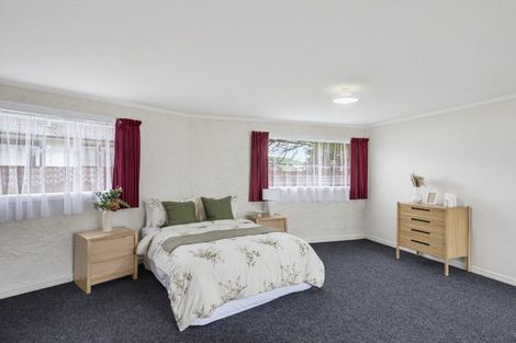 Photo of property in 19 Rimu Street, Levin, 5510