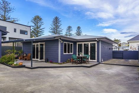 Photo of property in 102a Mcgrath Street, Napier South, Napier, 4110