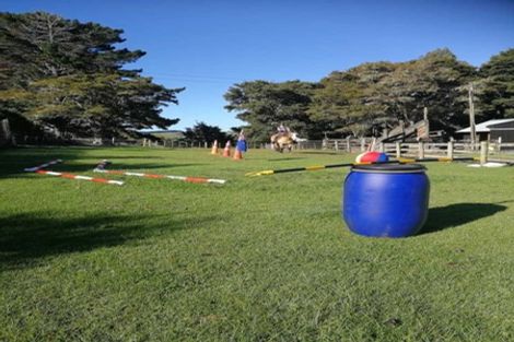 Photo of property in 202 Rapson Road, Kaukapakapa, 0871