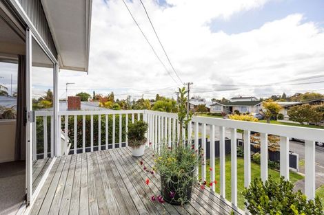 Photo of property in 46 Wake Street, Chartwell, Hamilton, 3210