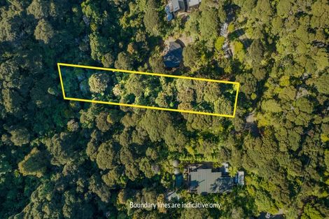 Photo of property in 19 Hayes Road, Henderson Valley, Auckland, 0612