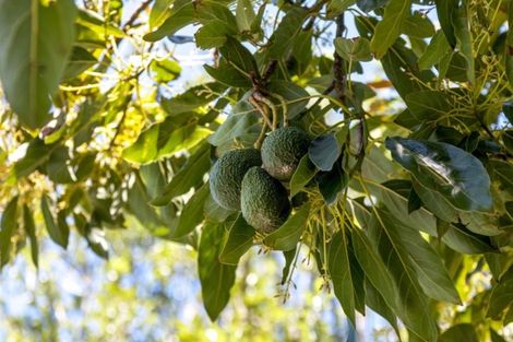 Photo of property in 6 Aileen Place, Whangamata, 3691