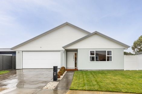 Photo of property in 45 Waimakariri Drive, Te Awa, Napier, 4110