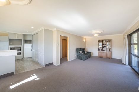 Photo of property in 225 The Terrace, Ashhurst, 4810