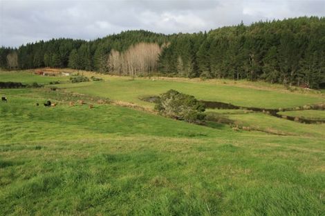 Photo of property in 388 South Road, Waipu, 0582