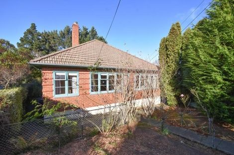 Photo of property in 160 Chapman Street, Wakari, Dunedin, 9010